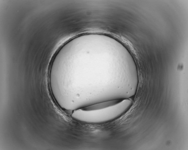 X0000098101231200805021102