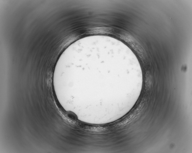 X0000098101233200805021102