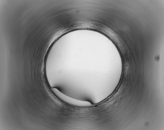 X0000098101234200805021102