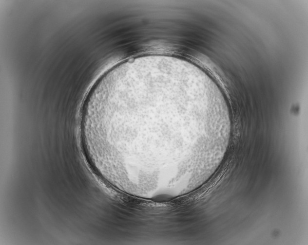 X0000098101235200805021102