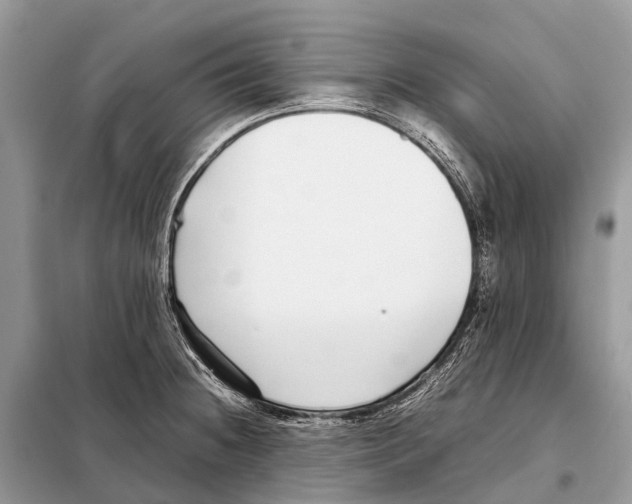 X0000098101236200805021102