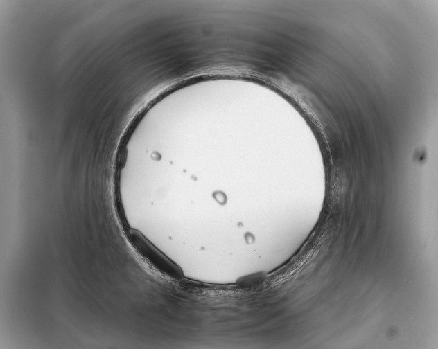 X0000098101237200805021102