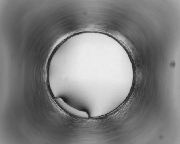 X0000098101238200805021102
