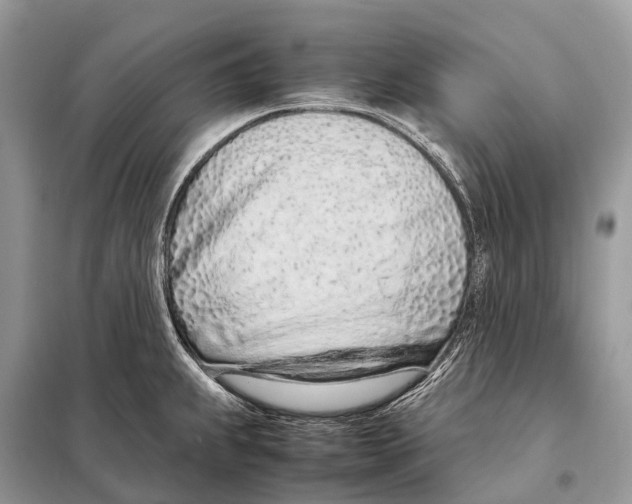 X0000098101239200805021102