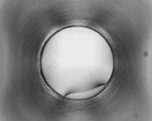 X0000098101240200805021102