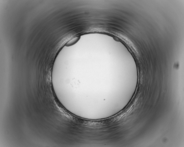 X0000098101241200805021102