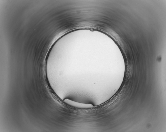 X0000098101242200805021102