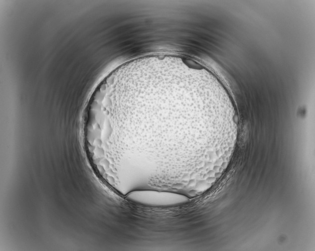 X0000098101243200805021102