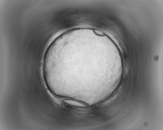 X0000098101245200805021102