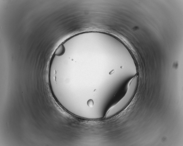 X0000098101246200805021102