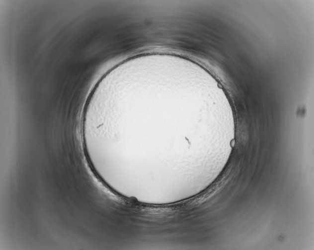 X0000098101247200805021102