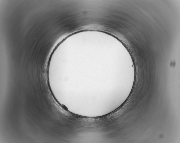 X0000098101248200805021102