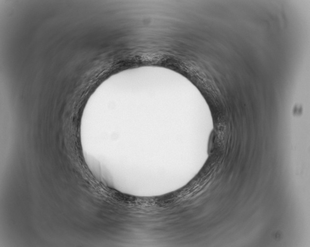 X0000098101249200805021101
