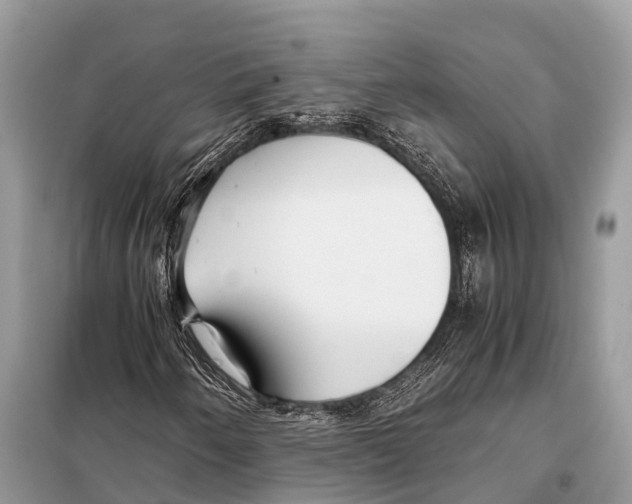 X0000098101250200805021101