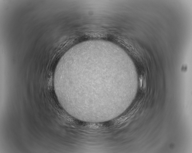 X0000098101251200805021101