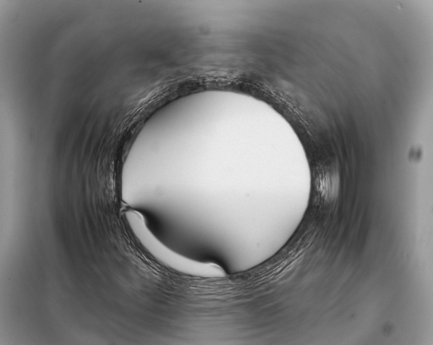 X0000098101252200805021101