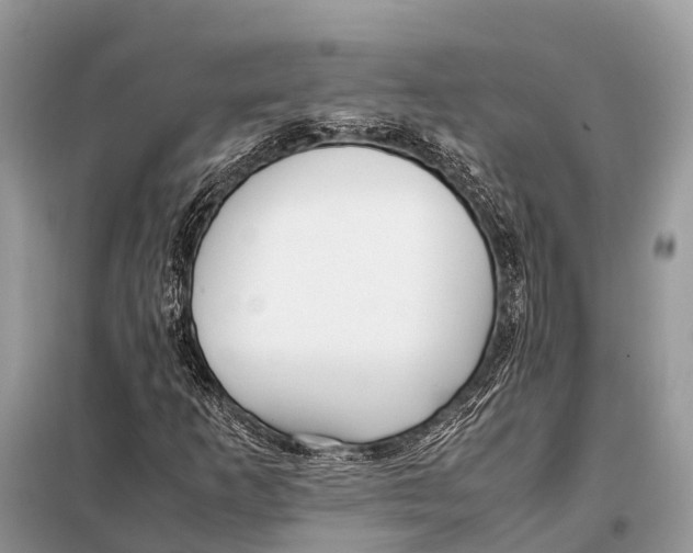 X0000098101253200805021101
