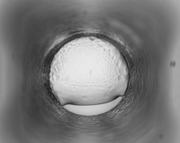 X0000098101255200805021101