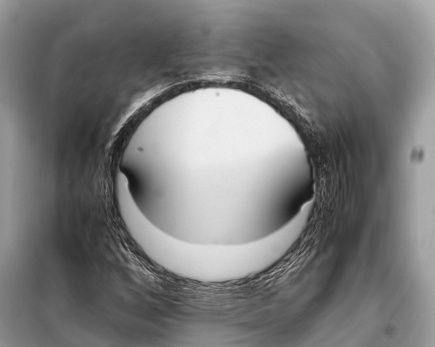 X0000098101256200805021101