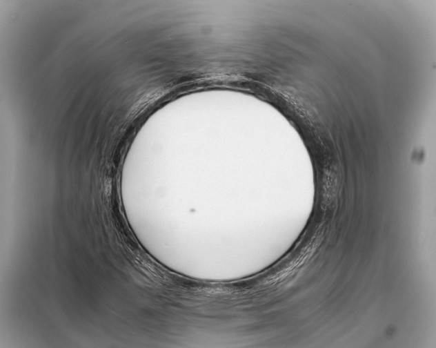 X0000098101257200805021101