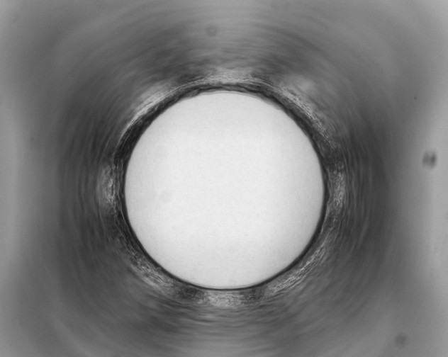 X0000098101258200805021101