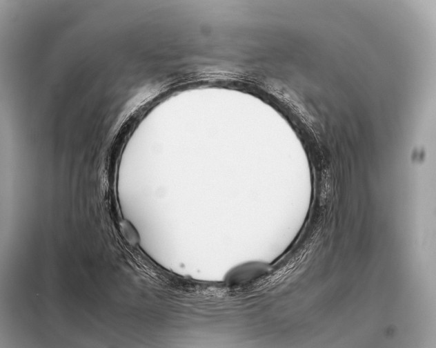 X0000098101261200805021101