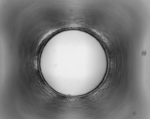 X0000098101262200805021101
