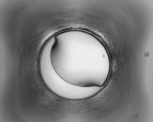 X0000098101263200805021101