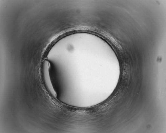 X0000098101264200805021101