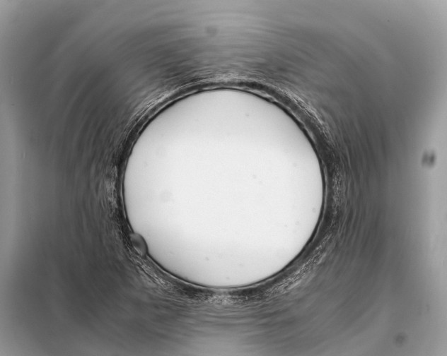 X0000098101265200805021101
