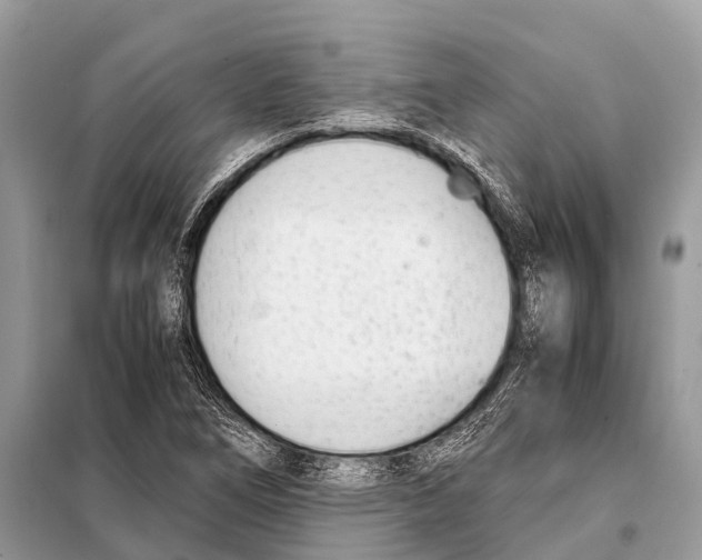 X0000098101266200805021101