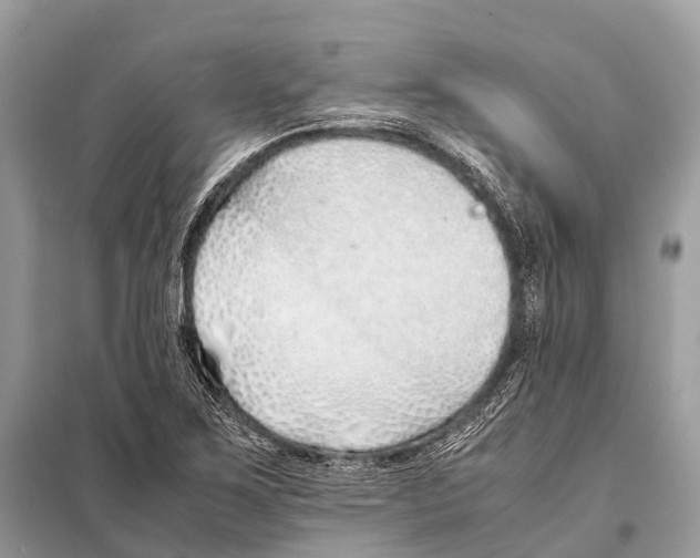 X0000098101267200805021101