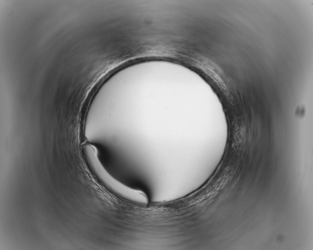X0000098101268200805021101