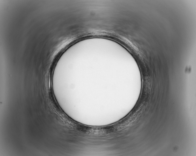 X0000098101269200805021101