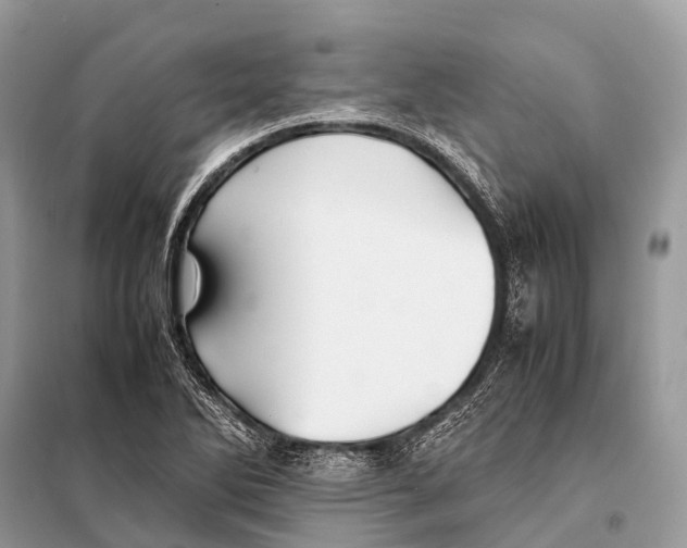 X0000098101270200805021101