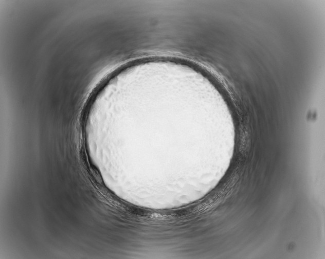 X0000098101271200805021101