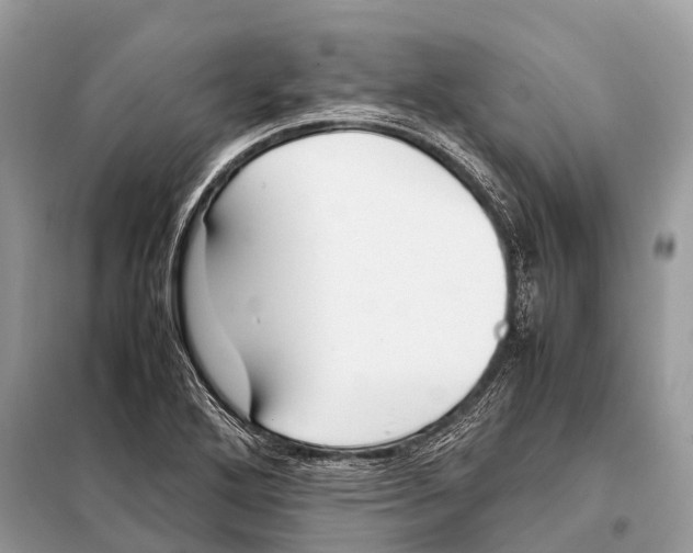 X0000098101272200805021101