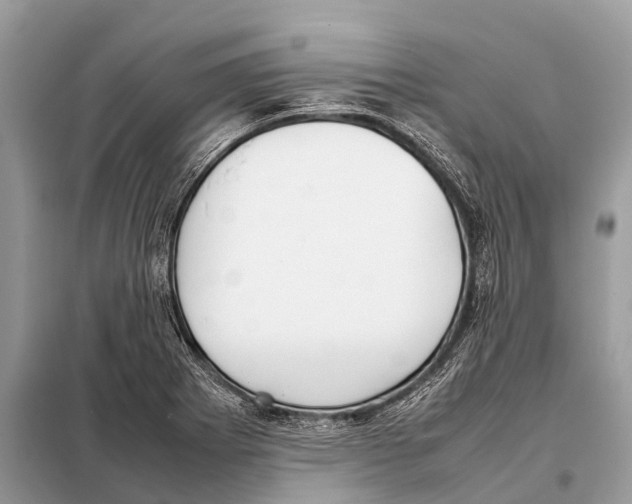 X0000098101273200805021101