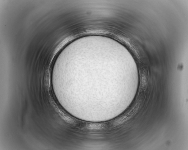 X0000098101274200805021101