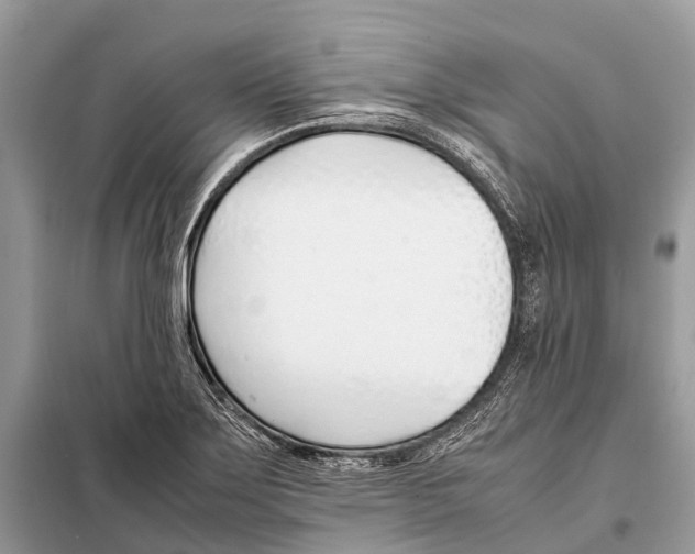 X0000098101275200805021101