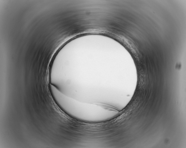 X0000098101276200805021101