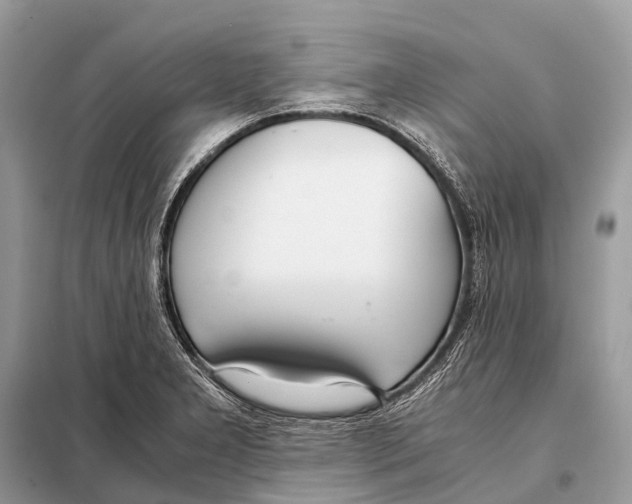 X0000098101277200805021101