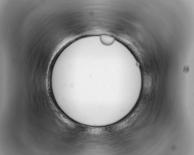 X0000098101278200805021101