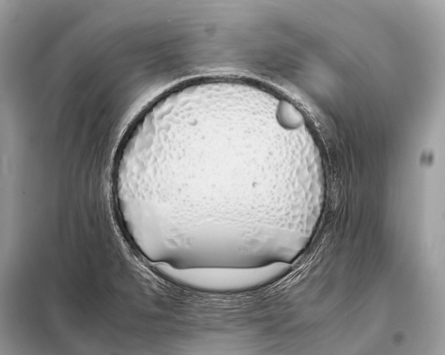 X0000098101279200805021101