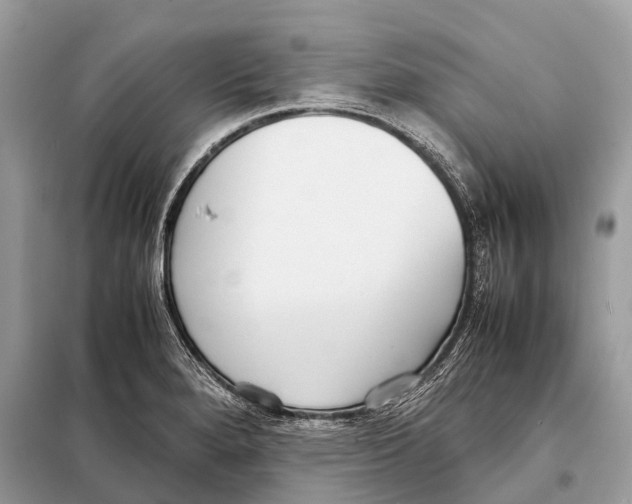 X0000098101280200805021101