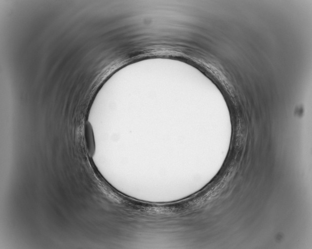 X0000098101281200805021101