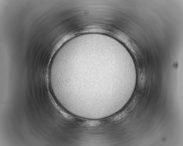 X0000098101282200805021101