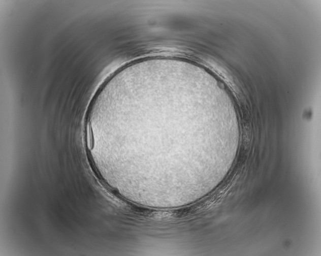 X0000098101283200805021101
