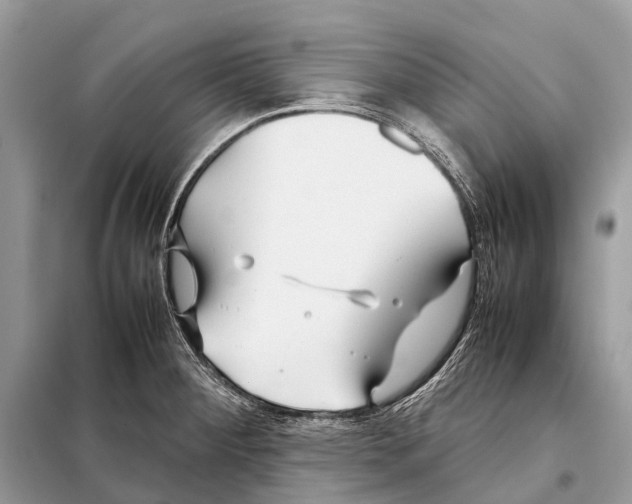 X0000098101284200805021101