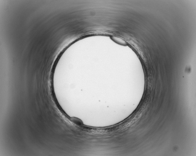 X0000098101285200805021101